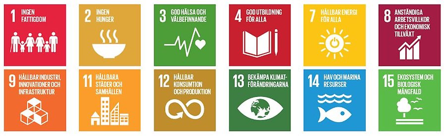 Kollage av några av Agenda 2030s måls logotyper.