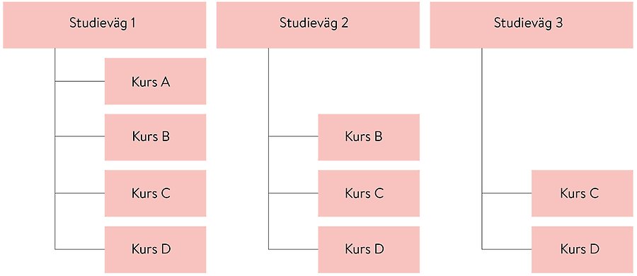Processbild som visar att studieväg 1 innehåller kurs A, B, C och D. Studieväg 2 innehåller kurs B, C och D samt studieväg 3 innehåller kurs C och D.
